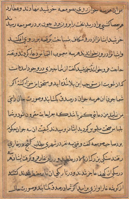 Page from Tales of a Parrot (Tuti-nama): text page, 1560, 
