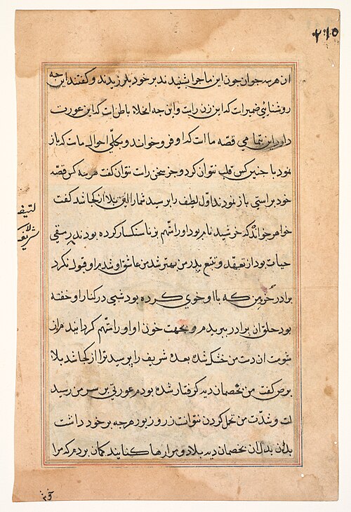 Page from Tales of a Parrot (Tuti-nama): text page, 1560, 