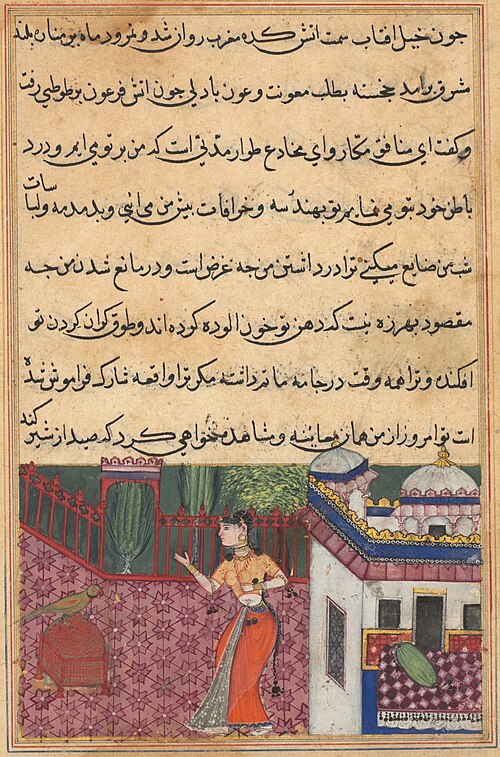 The parrot addresses Khujasta at the beginning of the thirty-third night, from a Tuti-nama (Tales of, 1560, 