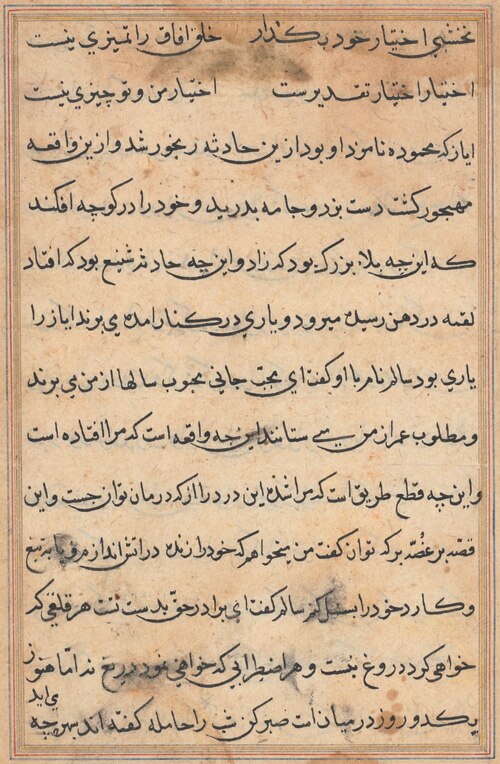 Page from Tales of a Parrot (Tuti-nama): text page, 1560, 