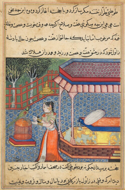 The parrot addresses Khujasta at the beginning of the thirty-sixth night, from a Tuti-nama (Tales of, 1560, 