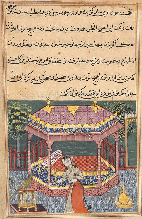 The parrot addresses Khujasta at the beginning of the thirty-seventh night, from a Tuti-nama (Tales , 1560, 