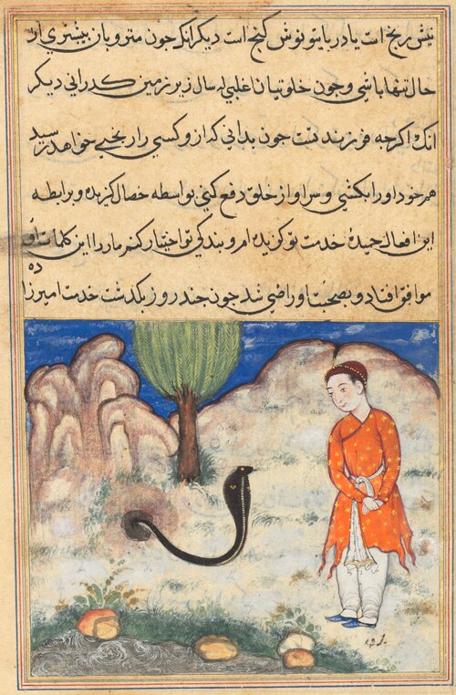 The prince, a son of the ruler of Sistan, enters the service of a snake, from a Tuti-nama (Tales of , 1560, 