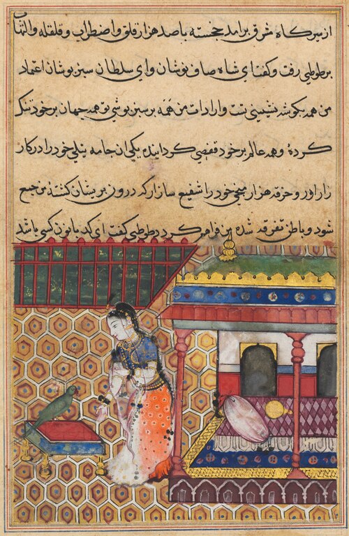 The parrot addresses Khujasta at the beginning of the thirty-eighth night, from a Tuti-nama (Tales o, 1560, 