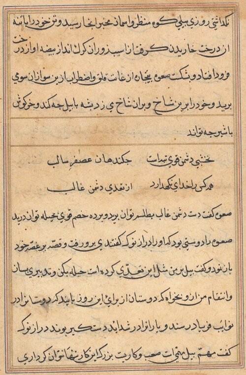 Page from Tales of a Parrot (Tuti-nama): text page, 1560, 