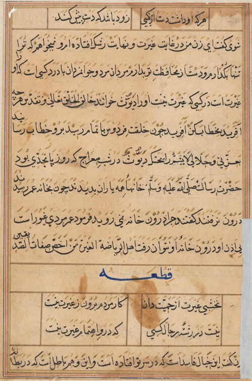 Page from Tales of a Parrot (Tuti-nama): text page, 1560, 