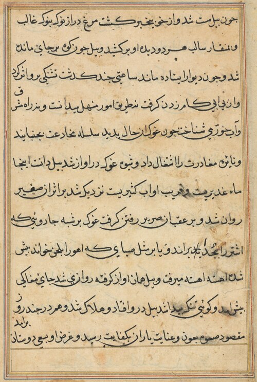 Page from Tales of a Parrot (Tuti-nama): text page, 1560, 
