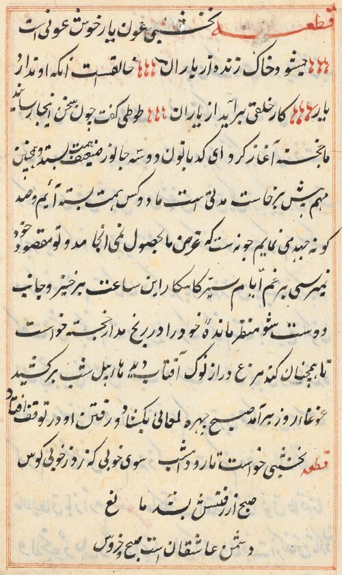 Page from Tales of a Parrot (Tuti-nama): text page, 1560, 