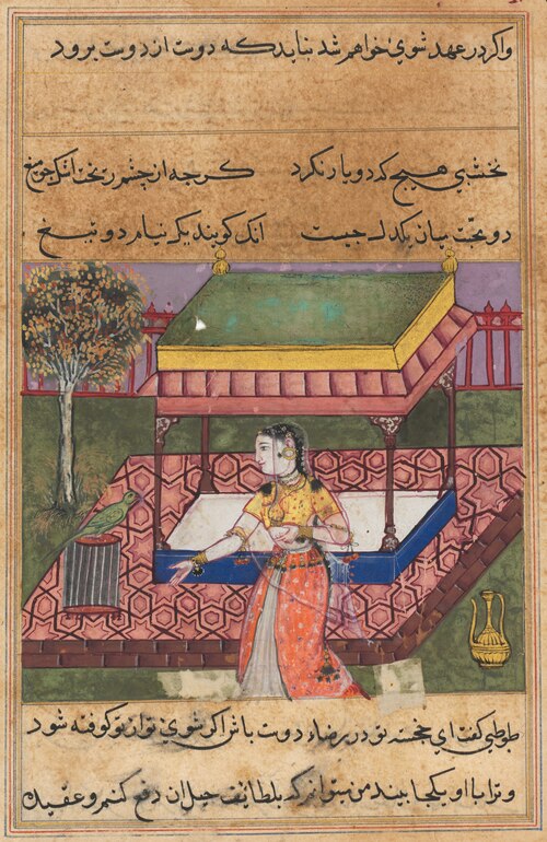 The parrot addresses Khujasta at the beginning of the fortieth night, from a Tuti-nama (Tales of a P, 1560, 