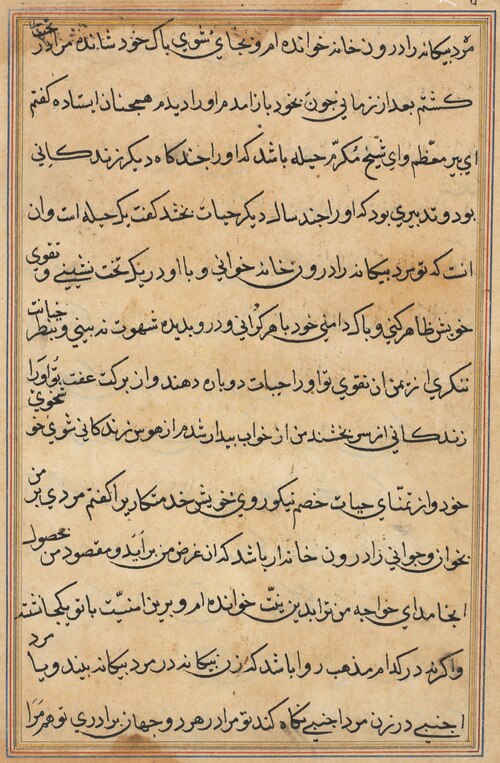 Page from Tales of a Parrot (Tuti-nama): text page, 1560, 