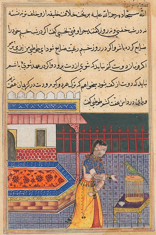 The parrot addresses Khujasta at the beginning of the forty-first night, from a Tuti-nama (Tales of , 1560, 
