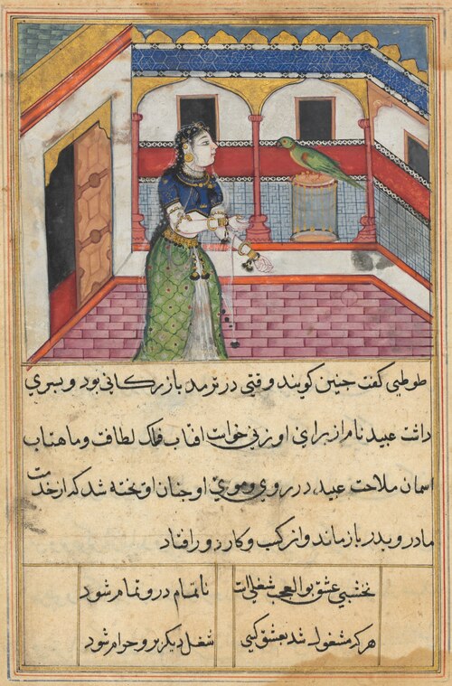 The parrot addresses Khujasta at the beginning of the forty-second night, from a Tuti-nama (Tales of, 1560, 