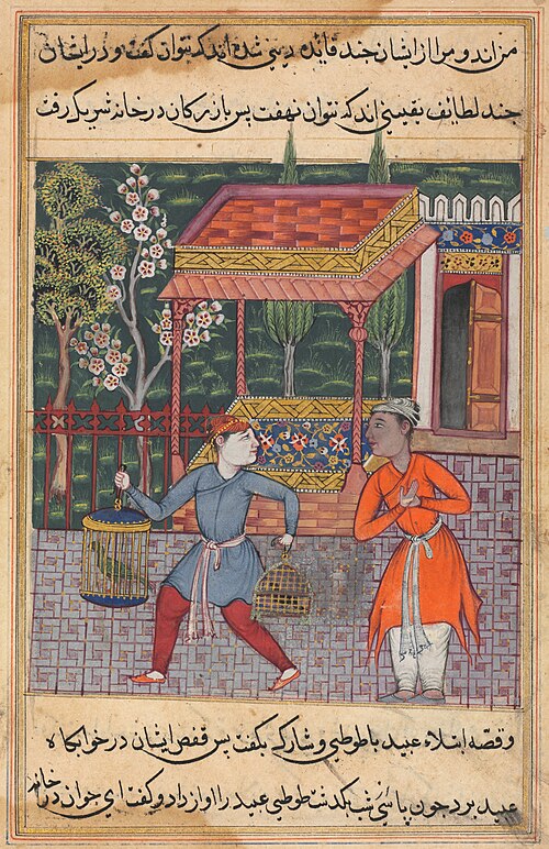 The merchant of Tirmiz takes the wise parrot and myna to ‘Ubaid, from a Tuti-nama (Tales of a Parrot, 1560, 