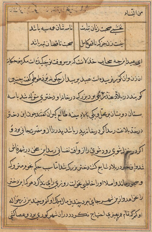 Page from Tales of a Parrot (Tuti-nama): text page, 1560, 