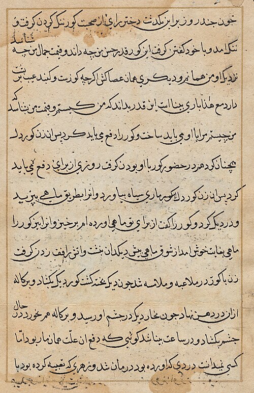 Page from Tales of a Parrot (Tuti-nama): text page, 1560, 