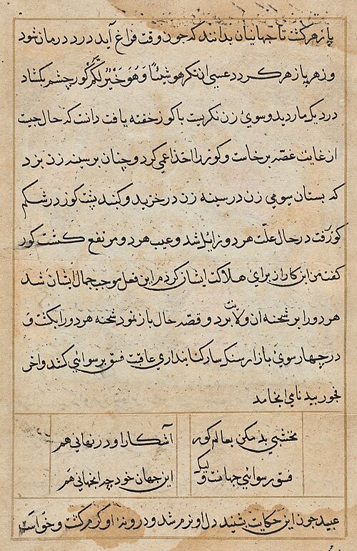 Page from Tales of a Parrot (Tuti-nama): text page, 1560, 