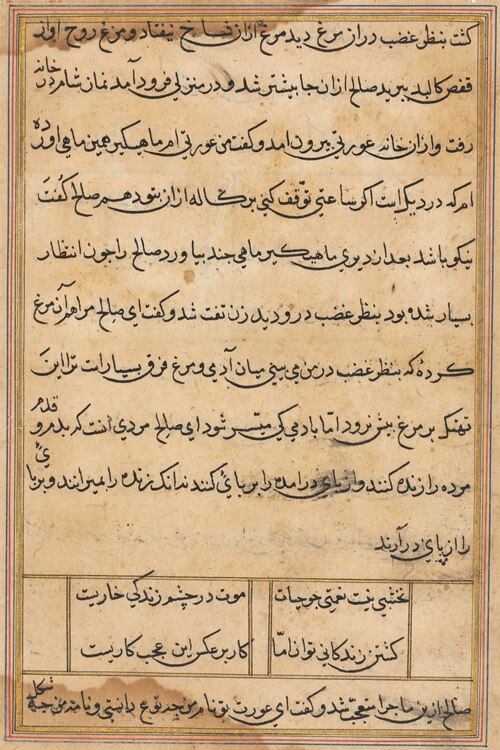 Page from Tales of a Parrot (Tuti-nama): text page, 1560, 