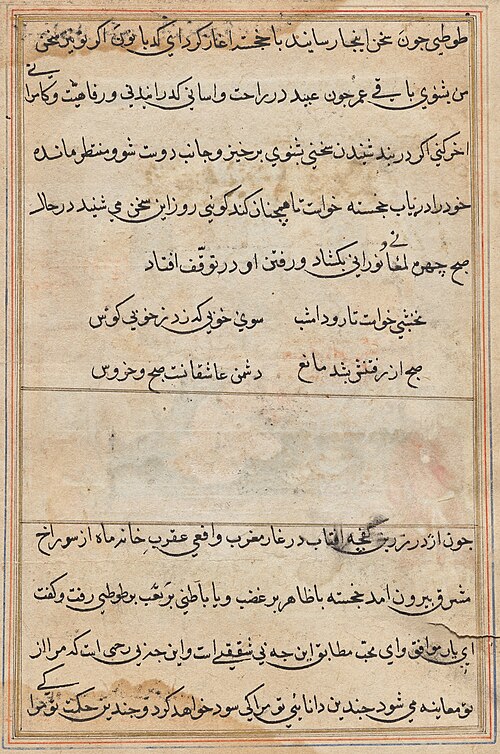 Page from Tales of a Parrot (Tuti-nama): text page, 1560, 
