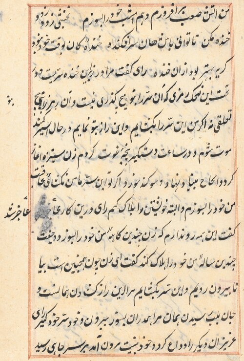 Page from Tales of a Parrot (Tuti-nama): text page, 1560, 