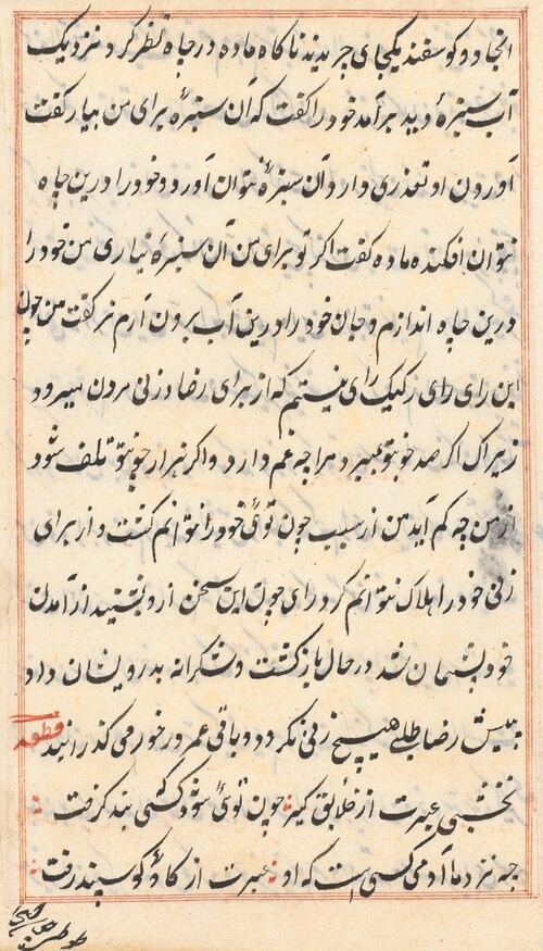 Page from Tales of a Parrot (Tuti-nama): text page, 1560, 