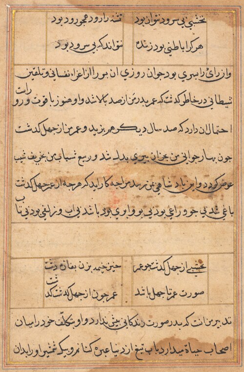 Page from Tales of a Parrot (Tuti-nama): text page, 1560, 