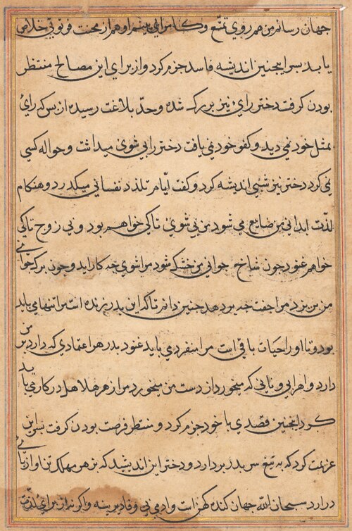 Page from Tales of a Parrot (Tuti-nama): text page, 1560, 