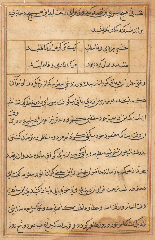 Page from Tales of a Parrot (Tuti-nama): text page, 1560, 