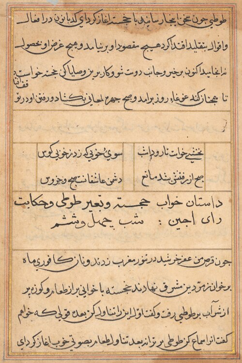 Page from Tales of a Parrot (Tuti-nama): text page, 1560, 