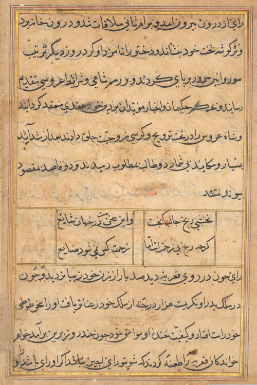 Page from Tales of a Parrot (Tuti-nama): text page, 1560, 