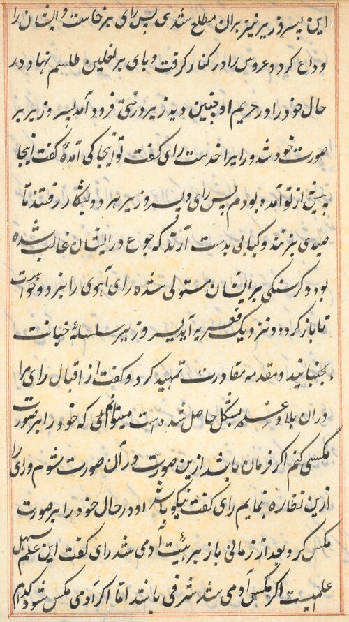 Page from Tales of a Parrot (Tuti-nama): text page, 1560, 