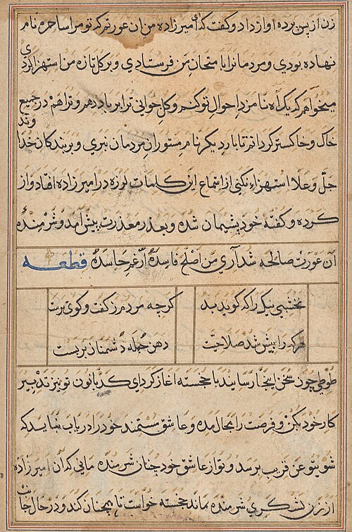 Page from Tales of a Parrot (Tuti-nama): text page, 1560, 