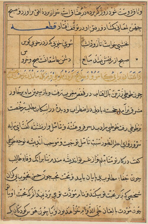 Page from Tales of a Parrot (Tuti-nama): text page, 1560, 