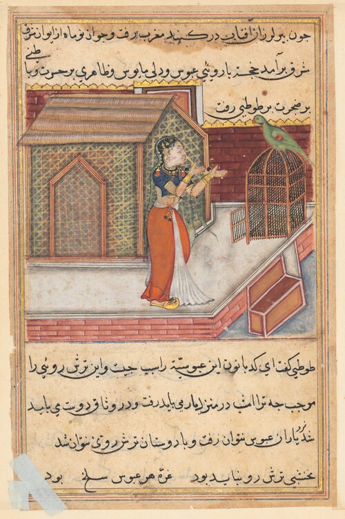 The parrot addresses Khujasta at the beginning of the forty-ninth night, from a Tuti-nama (Tales of , 1560, 