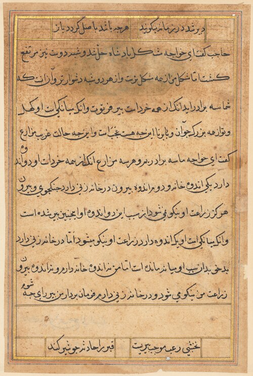 Page from Tales of a Parrot (Tuti-nama): text page, 1560, 