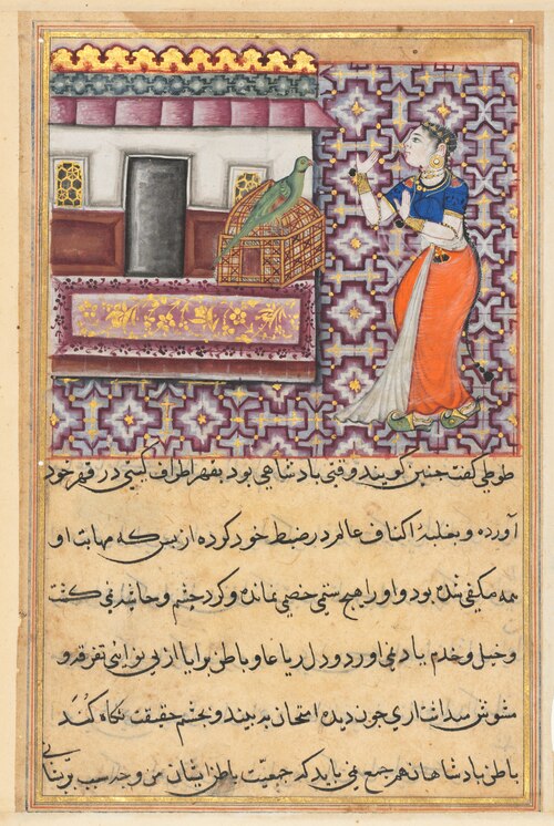 The parrot addresses Khujasta at the beginning of the fiftieth night, from a Tuti-nama (Tales of a P, 1560, 