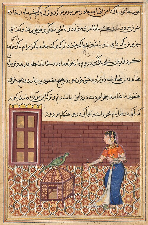 The parrot addresses Khujasta at the beginning of the fifty-first night, from a Tuti-nama (Tales of , 1560, 