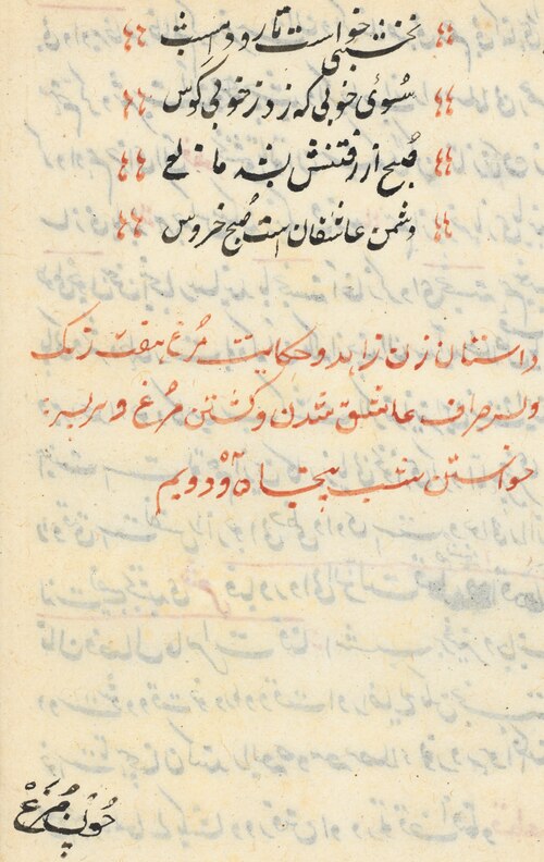Page from Tales of a Parrot (Tuti-nama): text page, 1560, 