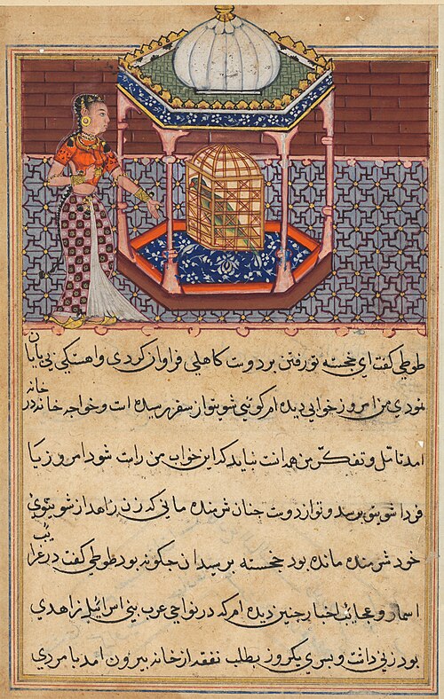 The parrot addresses Khujasta at the beginning of the fifty-second night, from a Tuti-nama (Tales of, 1560, 