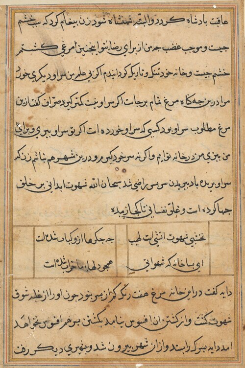 Page from Tales of a Parrot (Tuti-nama): text page, 1560, 