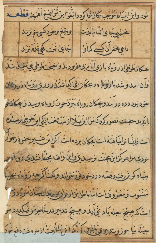 Page from Tales of a Parrot (Tuti-nama): text page, 1560, 