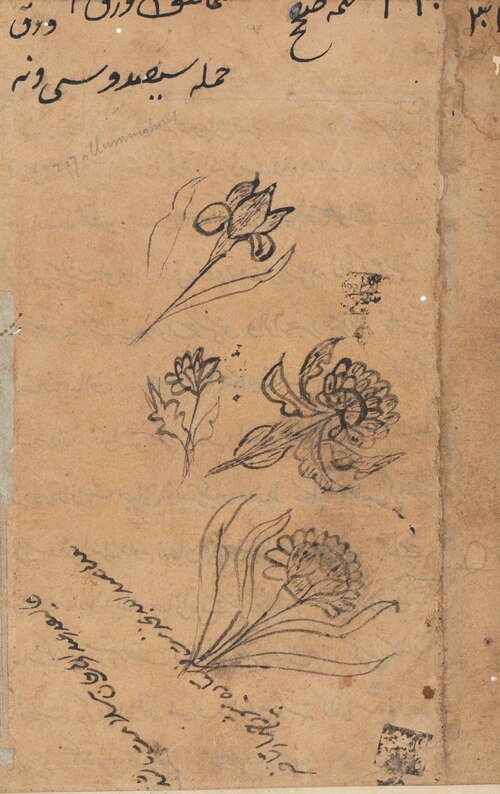 Page from Tales of a Parrot (Tuti-nama): text page, 1560, 