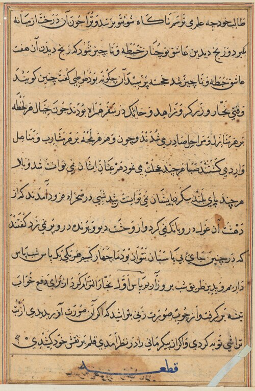Page from Tales of a Parrot (Tuti-nama): text page, 1560, 
