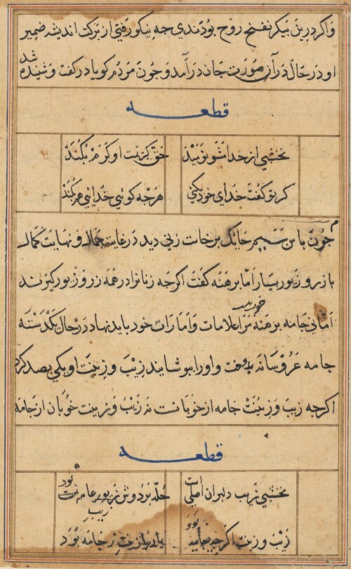Page from Tales of a Parrot (Tuti-nama): text page, 1560, 