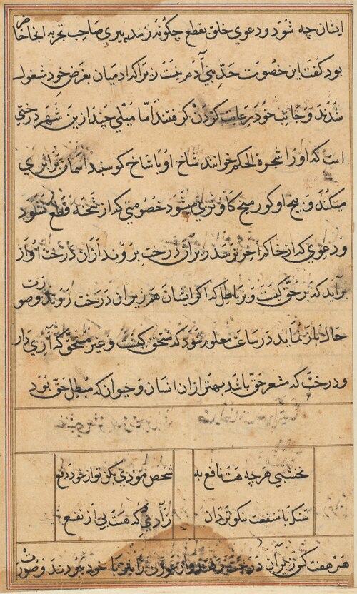 Page from Tales of a Parrot (Tuti-nama): text page, 1560, 