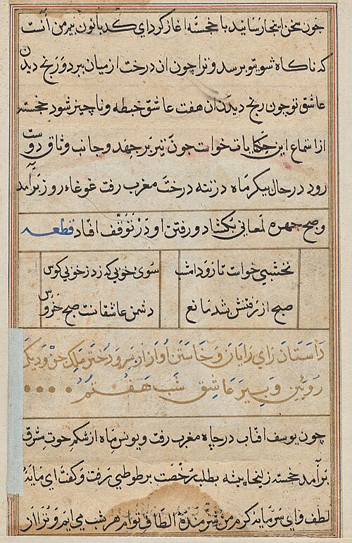 Page from Tales of a Parrot (Tuti-nama): text page, 1560, 