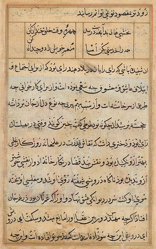 Page from Tales of a Parrot (Tuti-nama): text page, 1560, 