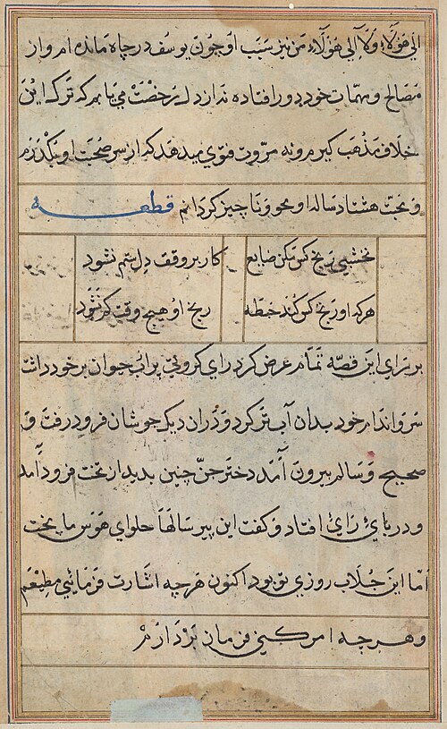 Page from Tales of a Parrot (Tuti-nama): text page, 1560, 