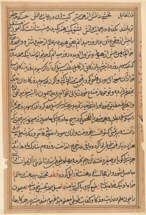 Page from Tales of a Parrot (Tuti-nama): text page, 1560, 