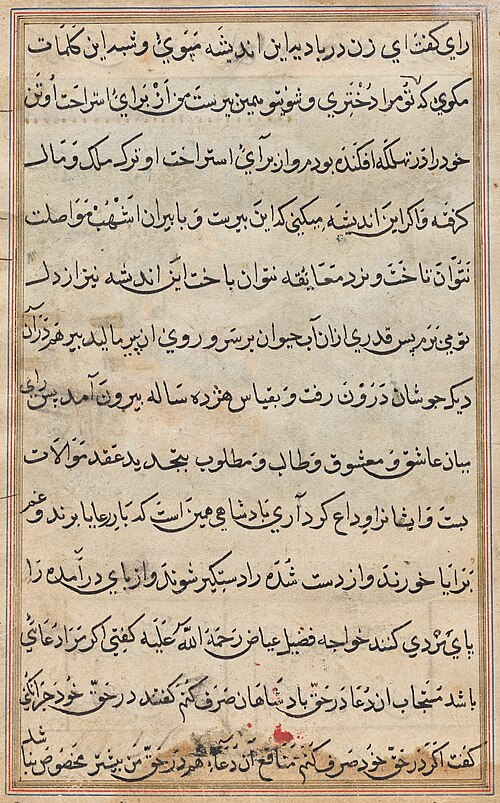 Page from Tales of a Parrot (Tuti-nama): text page, 1560, 