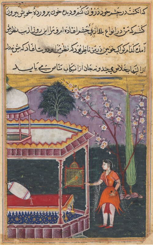 The Parrot Addresses Khujasta at the Beginning of the Eighth Night, from a Tuti-nama (Tales of a Par, 1560, 